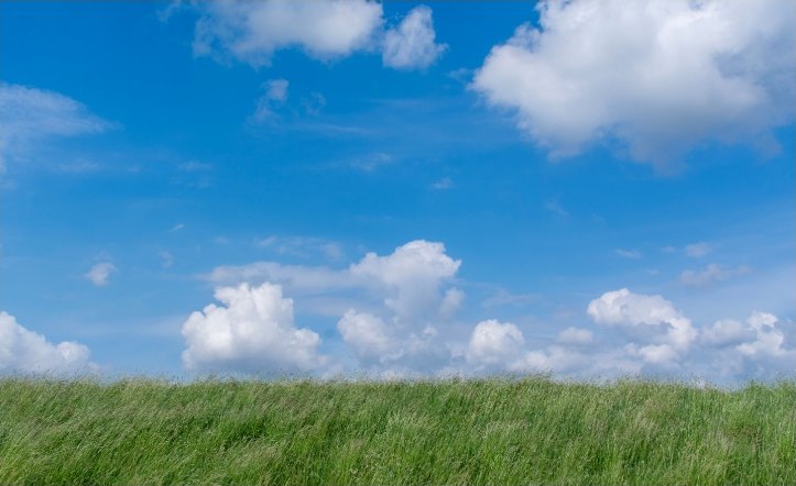 Blue sky over a green field